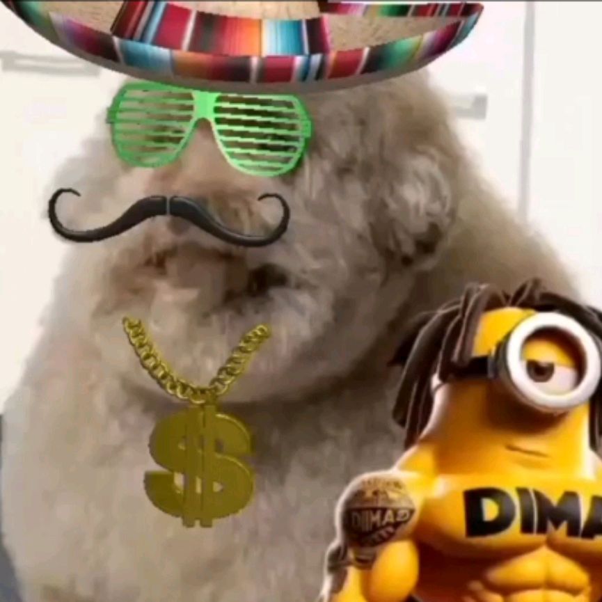 Аватар автора