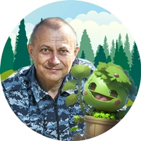 Аватар автора