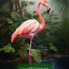 Иконка канала Linada&Flamingo