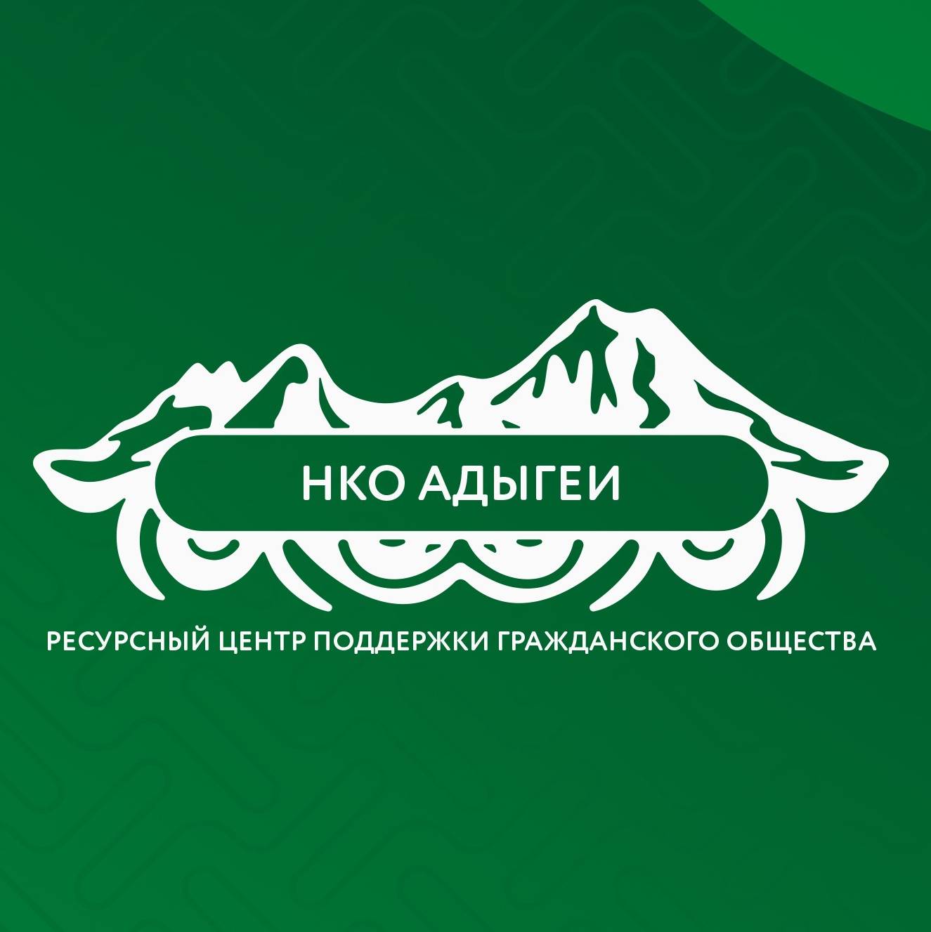 Иконка канала Ресурсный центр поддержки НКО Адыгеи