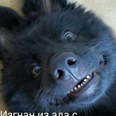 Иконка канала Синий траХтор