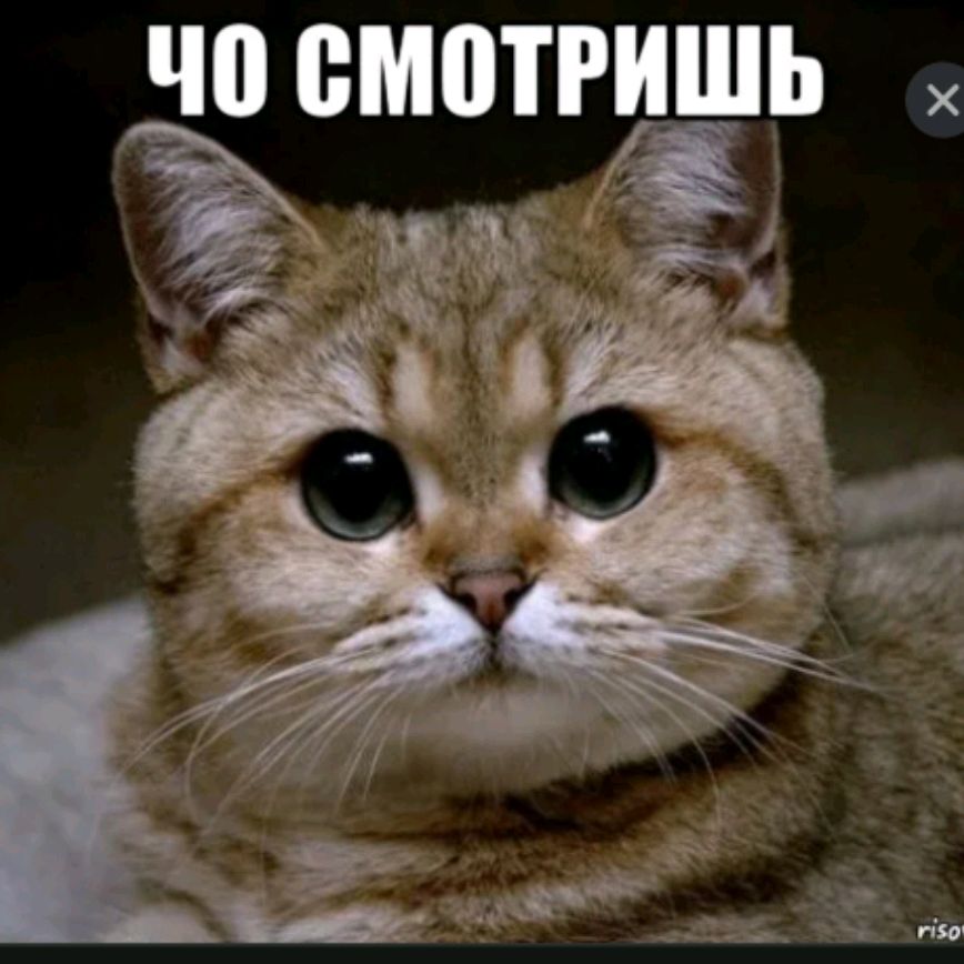 Аватар