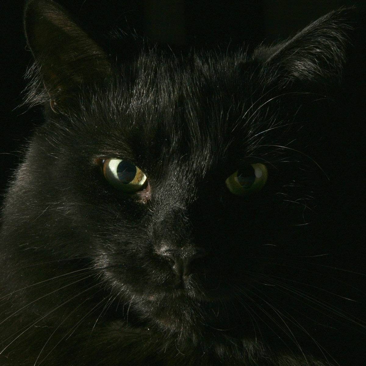 Иконка канала KDFX Modes