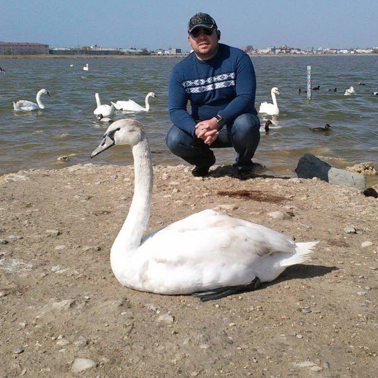 Аватар автора