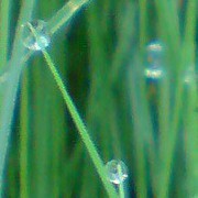 Иконка канала Чистое место