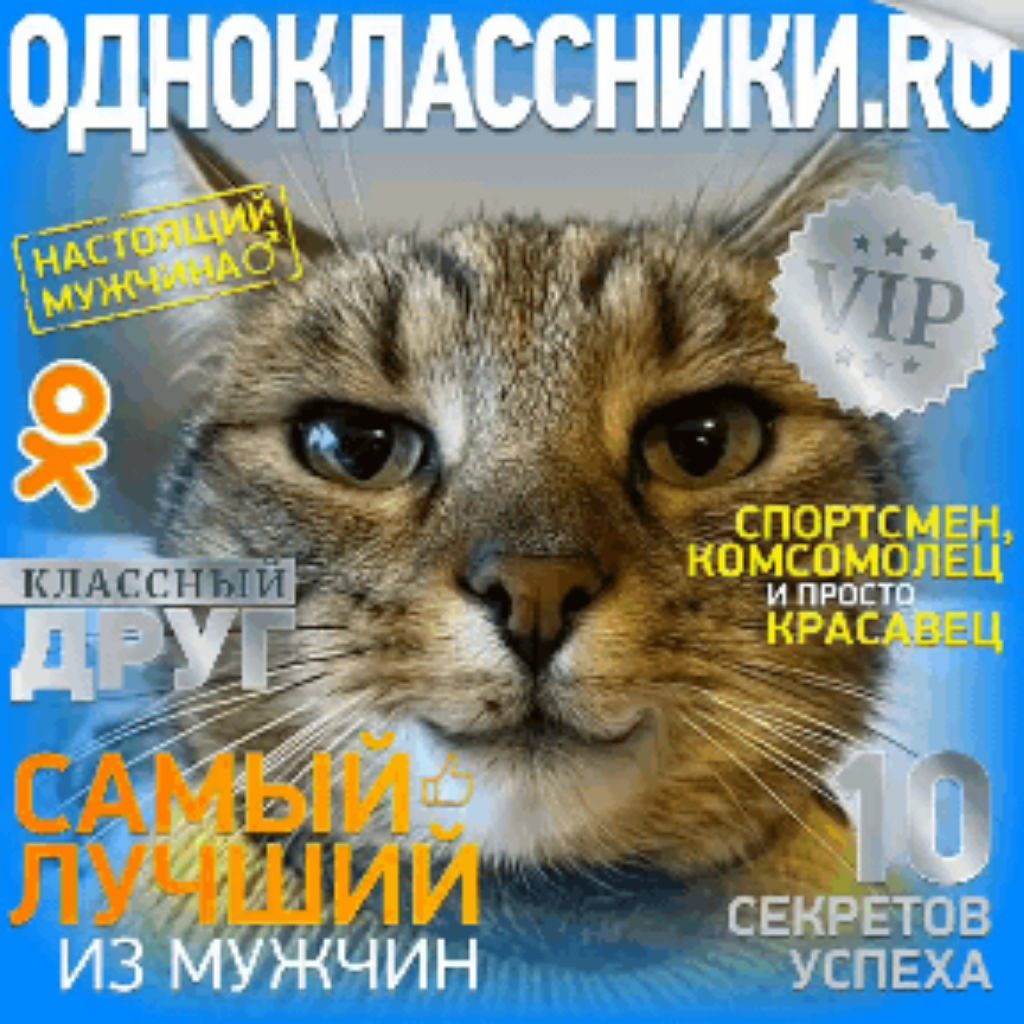 Аватар автора