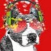 Иконка канала Zamar Terrier