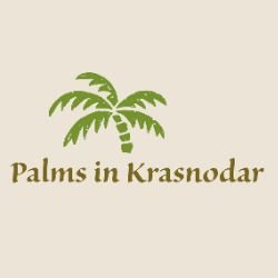 Иконка канала Пальмы в Краснодаре
