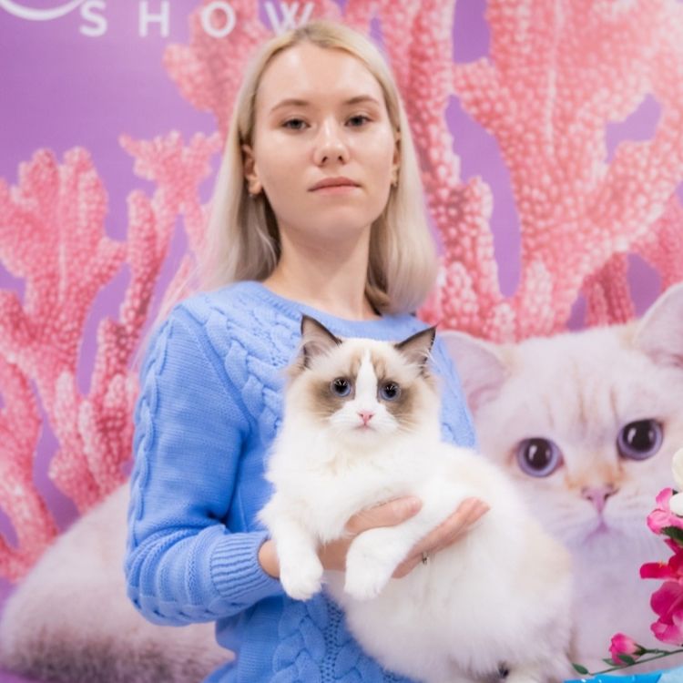 Аватар