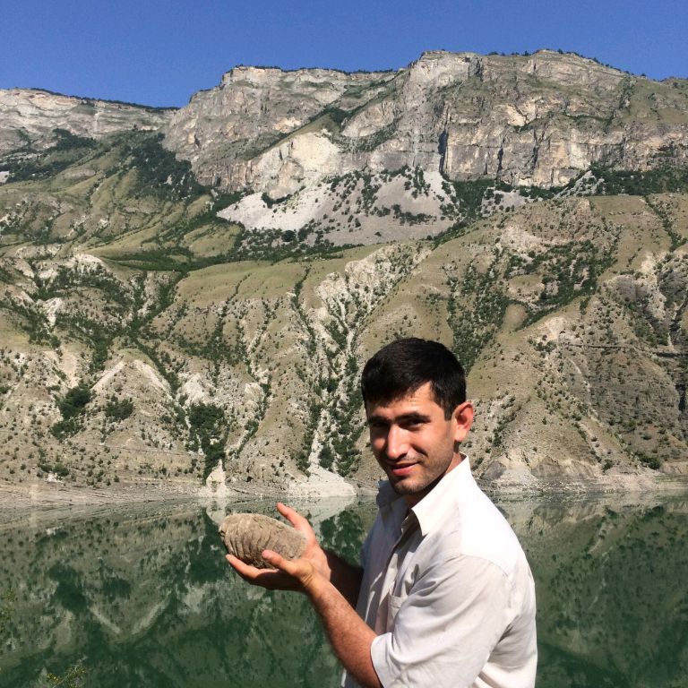 Аватар автора