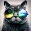 Иконка канала RockCat