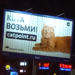 Иконка канала Tsistan