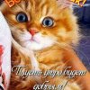 Иконка канала New Age Music Collection