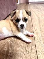 Иконка канала Alexus