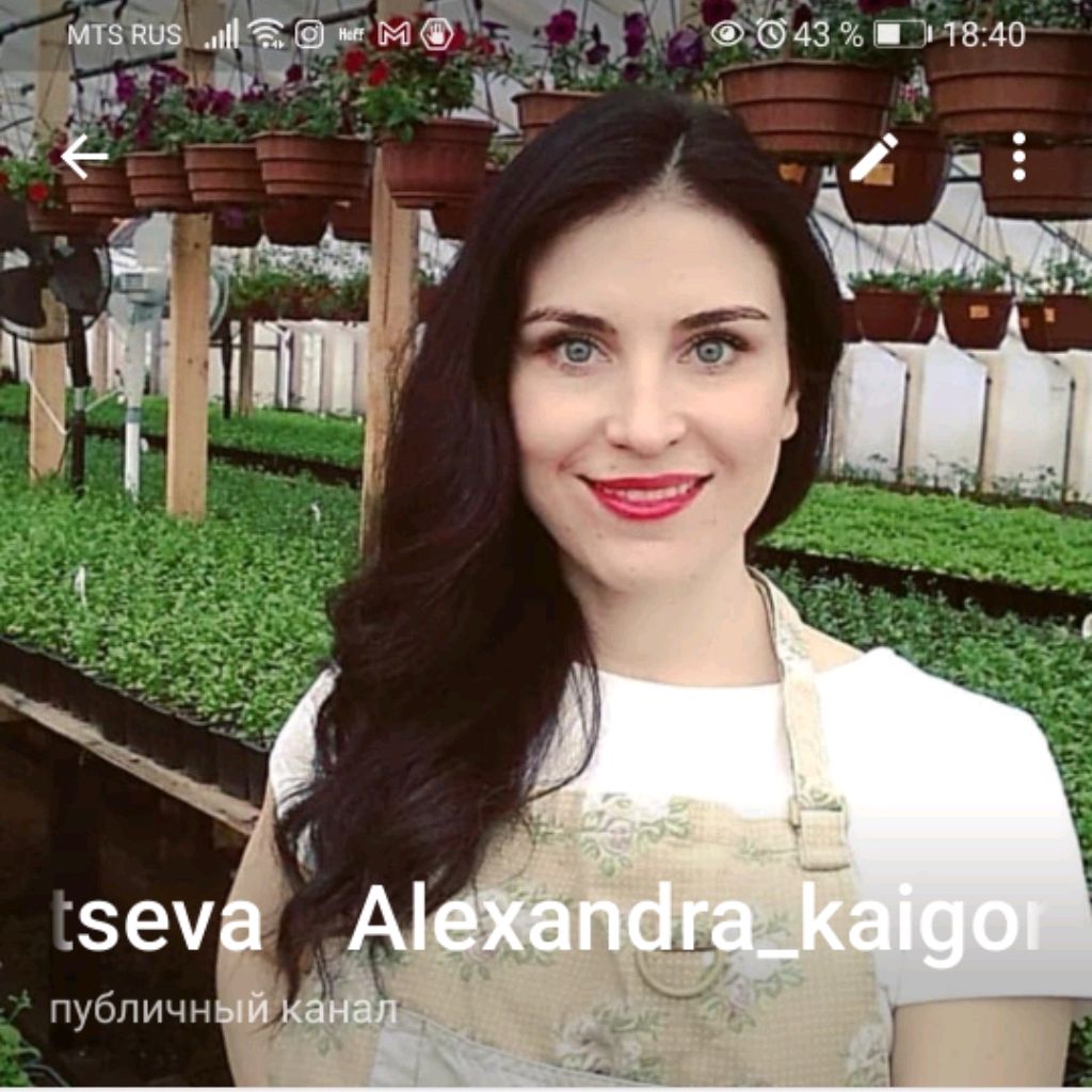 Аватар автора