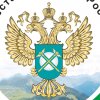 Иконка ка нала Дагестанское УФАС России