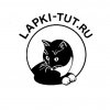 Иконка канала lapkitutru