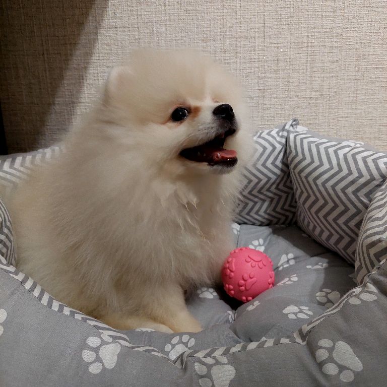 Иконка канала Кнопочка❤️