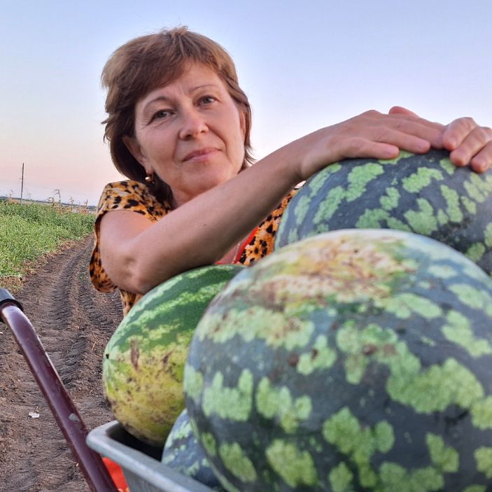 Аватар автора