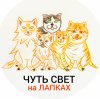 Иконка канала ЧУТЬ СВЕТ на ЛАПКАХ