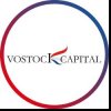 Иконка канала Vostock Capital