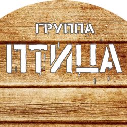 Иконка канала группа ПТИЦА (Коломна)