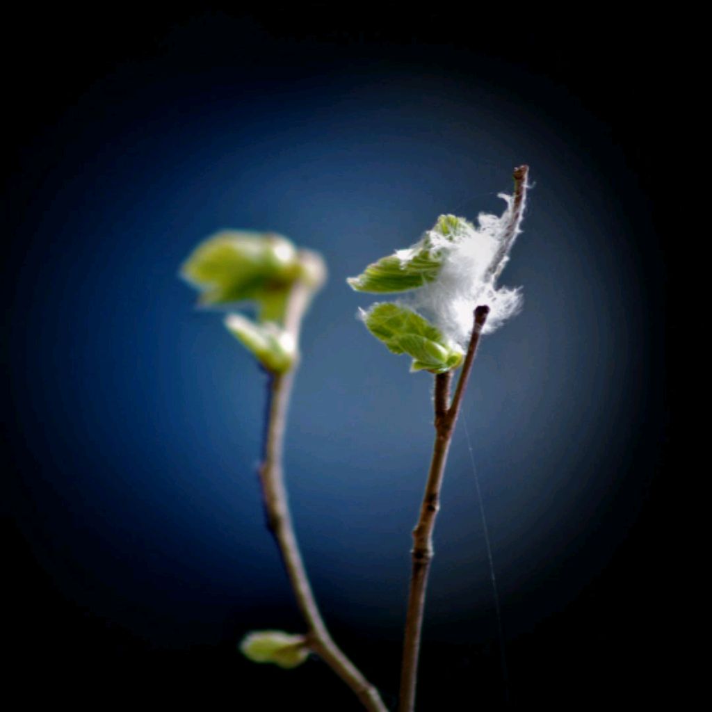 Иконка канала Ян Цикановский