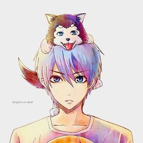 Аватар автора