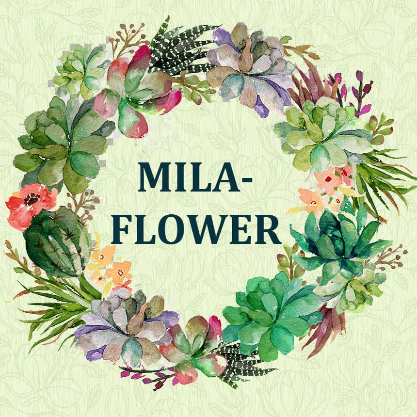 Иконка канала МиЛа