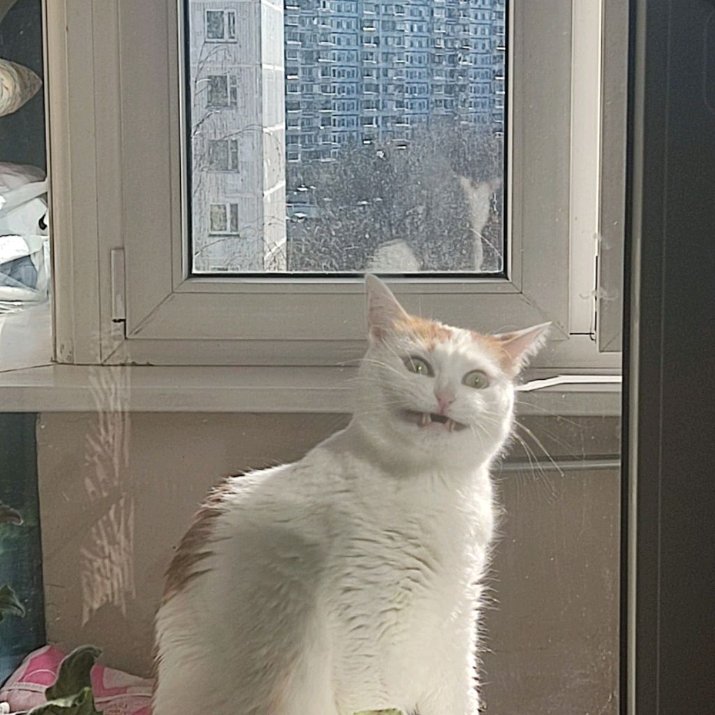 Аватар