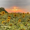 Иконка канала Гармония музыки и стихов