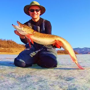 Аватар автора