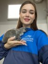 Иконка канала Мать пингвинов