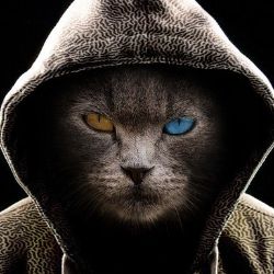 Иконка канала PRO_100_KOT