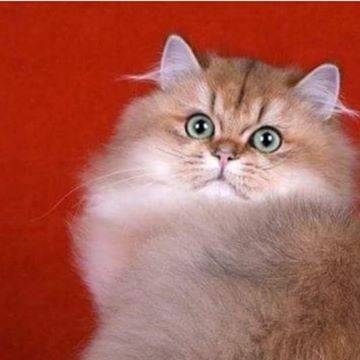 Иконка канала Пешком по Перми