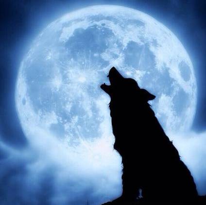 Иконка канала КУЗНЯю24