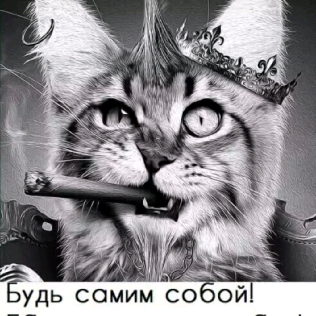 Иконка канала БАРСИК