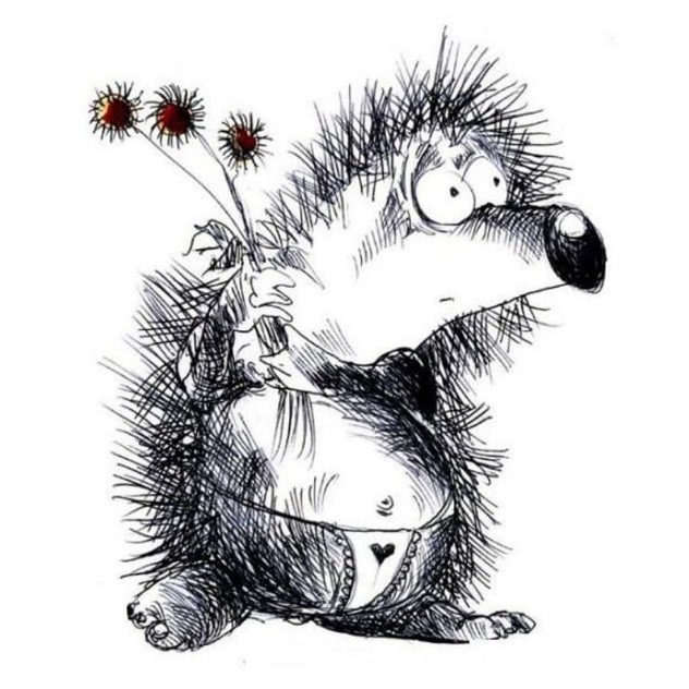 Аватар автора