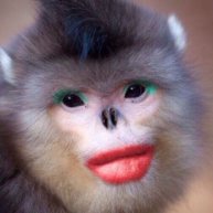 Иконка канала JoeBidon