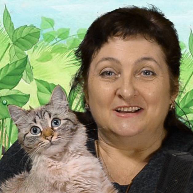 Аватар автора