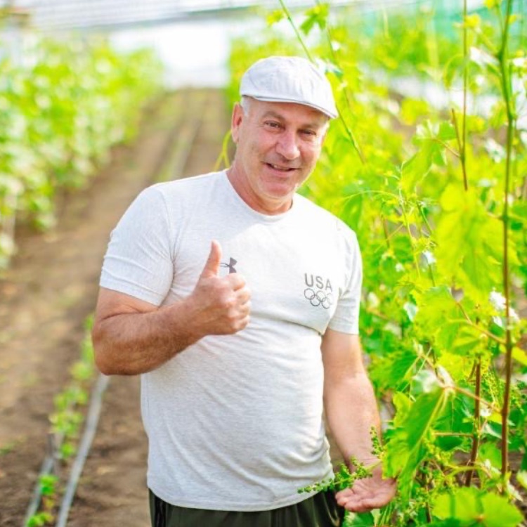 Аватар автора