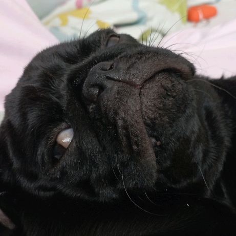 Иконка канала Qwerty