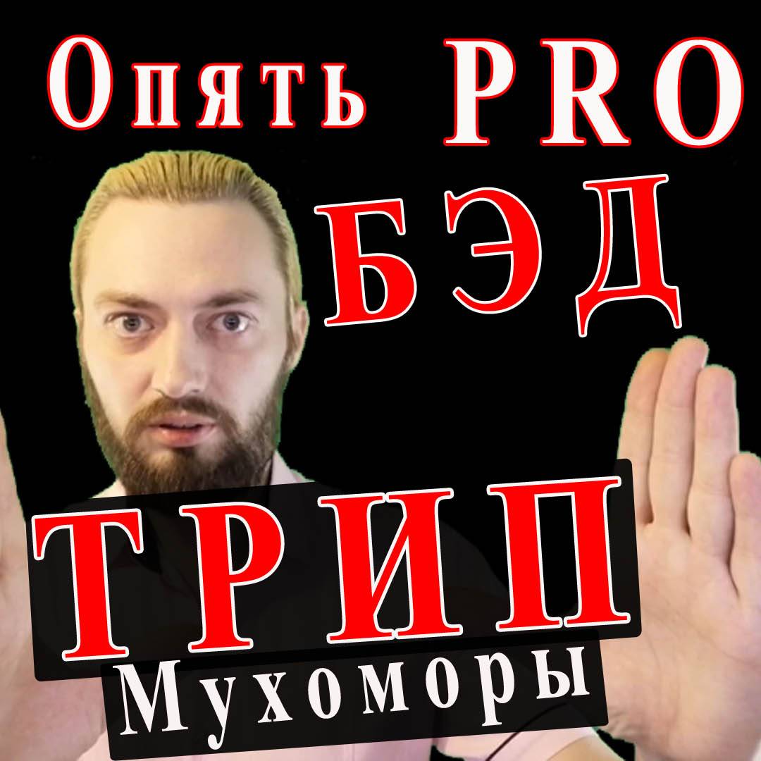 Иконка канала DoctorGrib