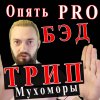 Иконка канала DoctorGrib