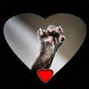 Иконка канала O ❤️ D