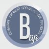 Иконка канала Журнал “Blogger life”