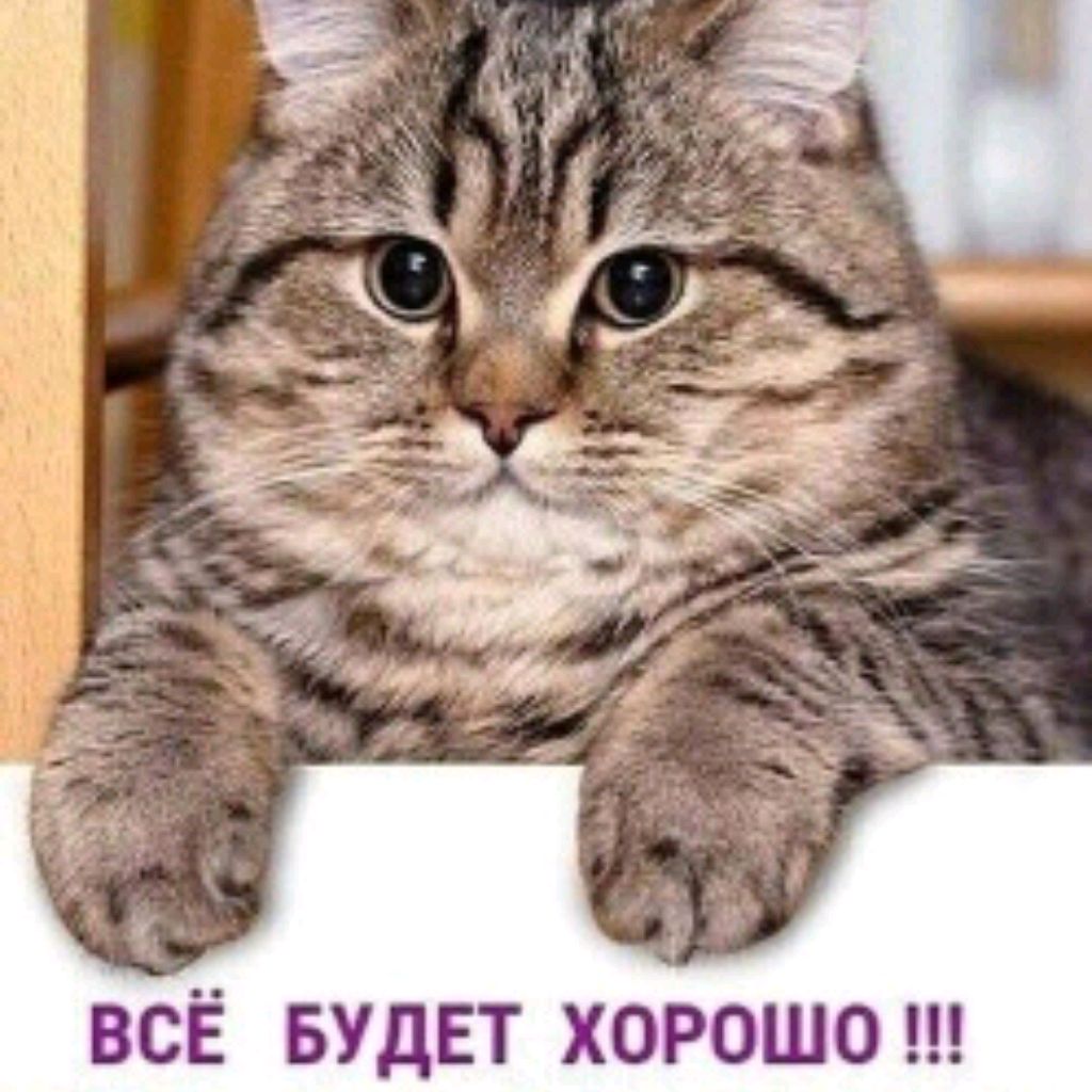 Иконка канала Садовая жизнь