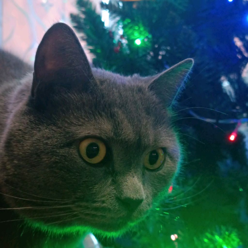 Аватар автора