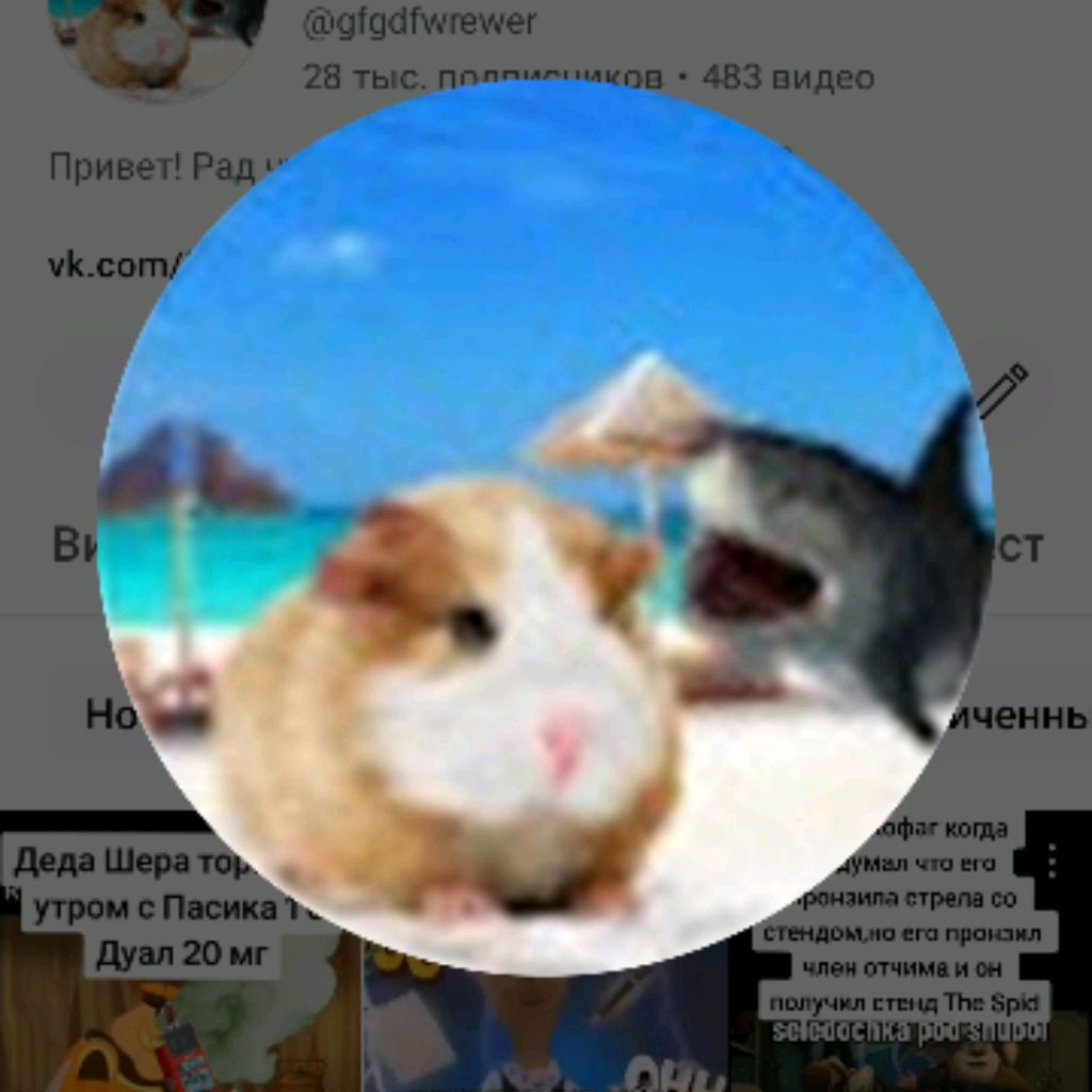 Аватар автора