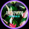 Иконка канала Антуриум